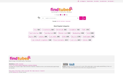 FindTubes & 3+ New Gay Porn Search Engines Like FindTubes