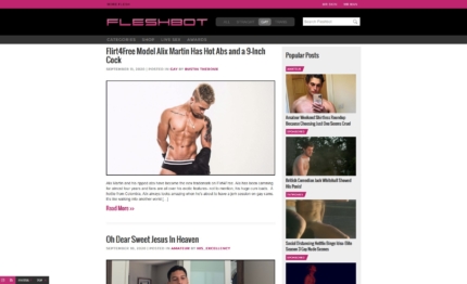 FleshBot & 7+ New Gay Porn Sites & Sex Blogs Like FleshBot